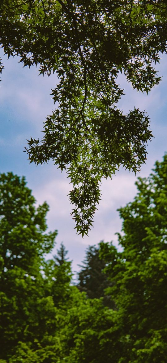 在反派原主手下苟活 App 节点详情页：顶部是节点编号与所在章节，中部列出命值和好感度两条增减条，底部是玩家自己的备注区